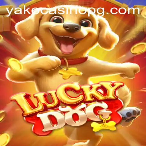Exploring LuckyDog: A Thrilling Adventure in the World of ejcasino PG